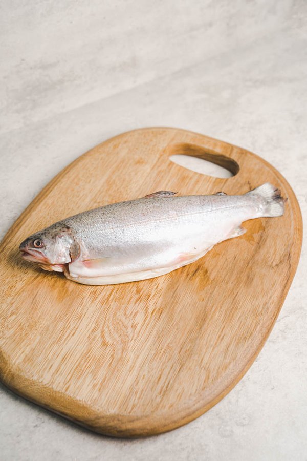 Rainbow Trout