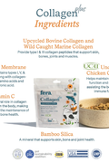 Collagen Plus (60 servings, powder)