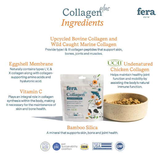 Collagen Plus (60 servings, powder)