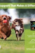 Lillidale ProJoint for Dogs
