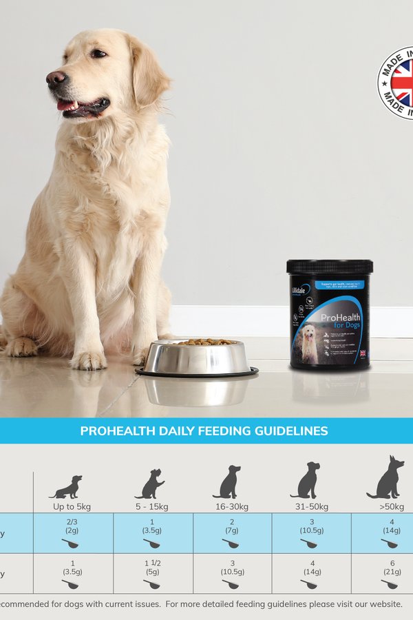 Lillidale ProHealth