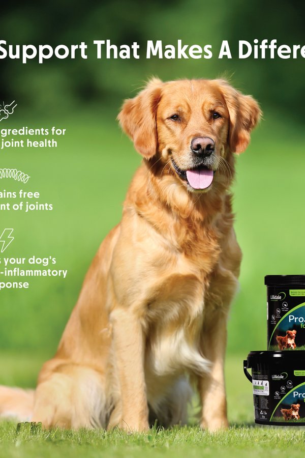 Lillidale ProJoint for Dogs