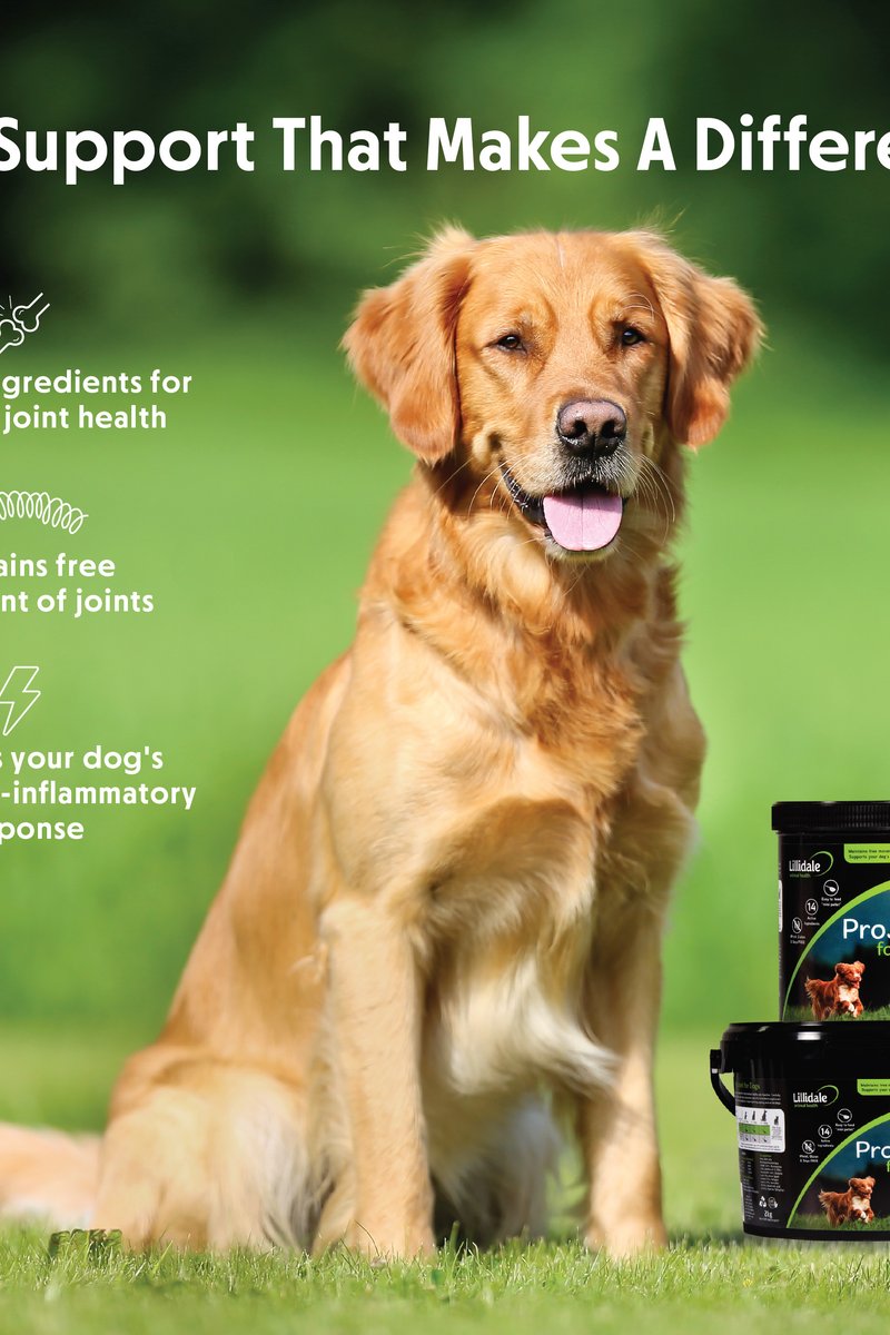 Lillidale ProJoint for Dogs