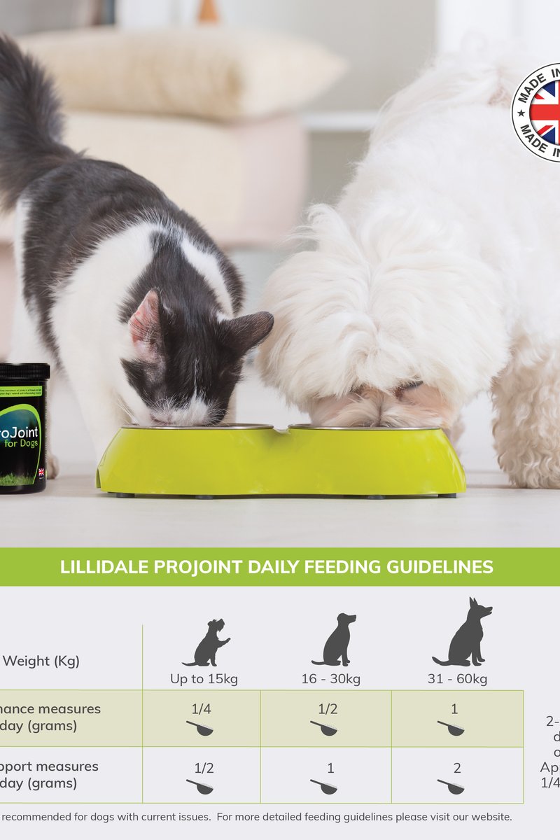 Lillidale ProJoint for Dogs