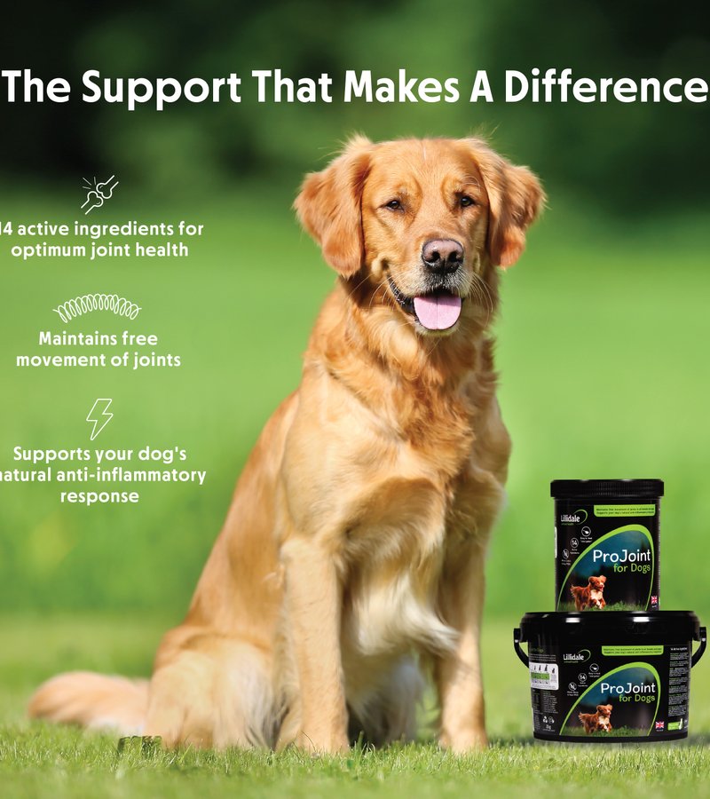 Lillidale ProJoint for Dogs