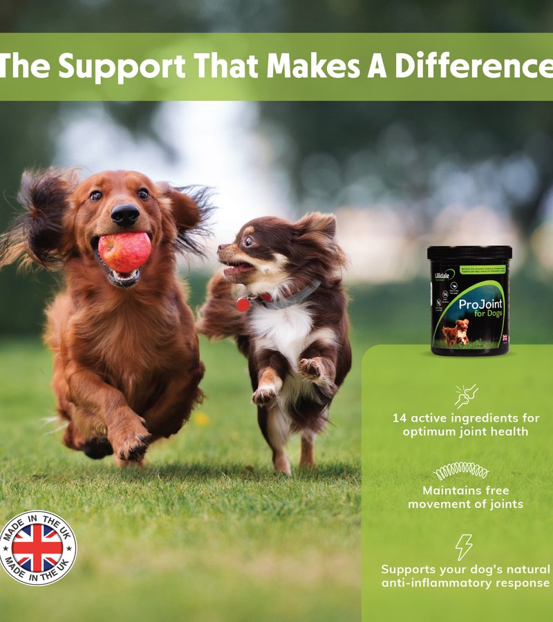 Lillidale ProJoint for Dogs