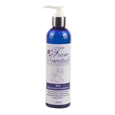 Big Volumising Shampoo