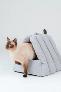 Gentle Purr Puff Lounger | 2-in-1 Bed