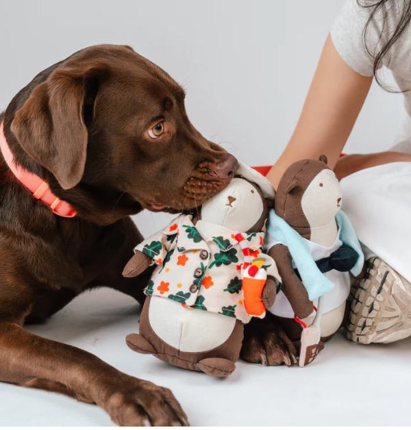 Gentle Pup Bishan the Otter Squeaker Toy | Singapore Sling