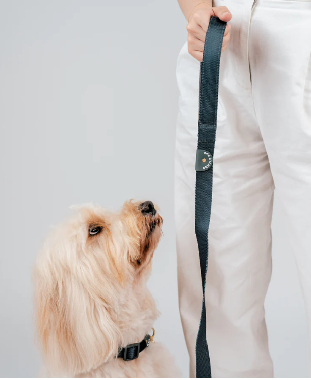 Gentle Pup Leash V2 - Ash