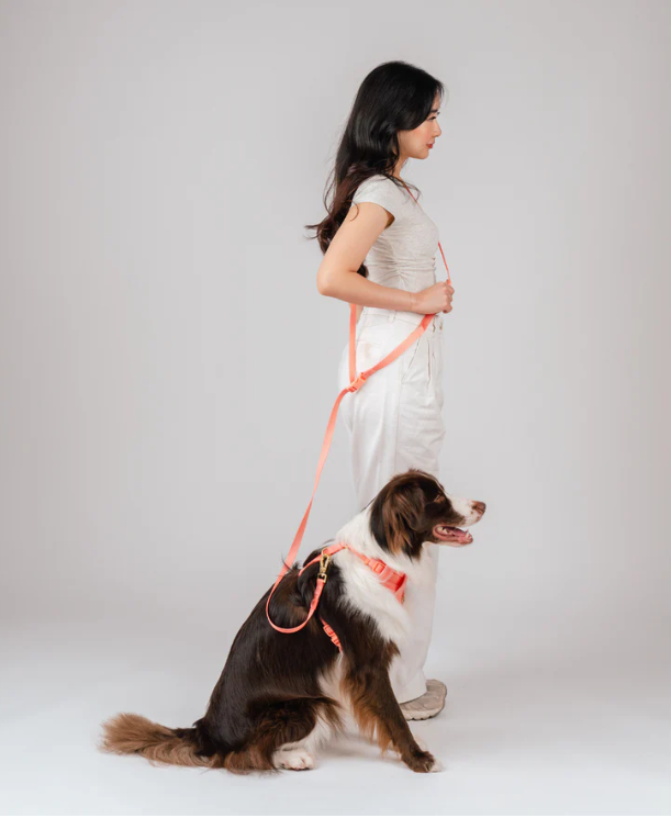 Gentle Pup Hands-free Leash - Cherry