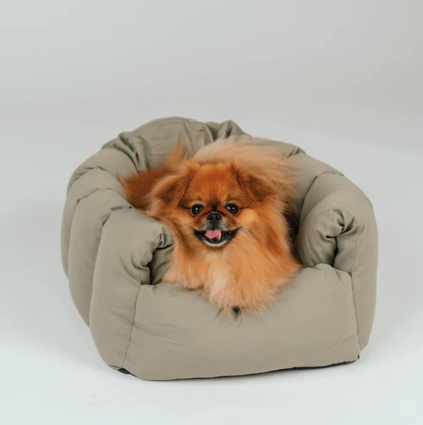 Gentle Purr Puff Lounger | 2-in-1 Bed