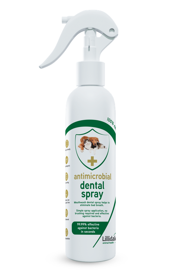 Lillidale Antimicrobial Dental Spray