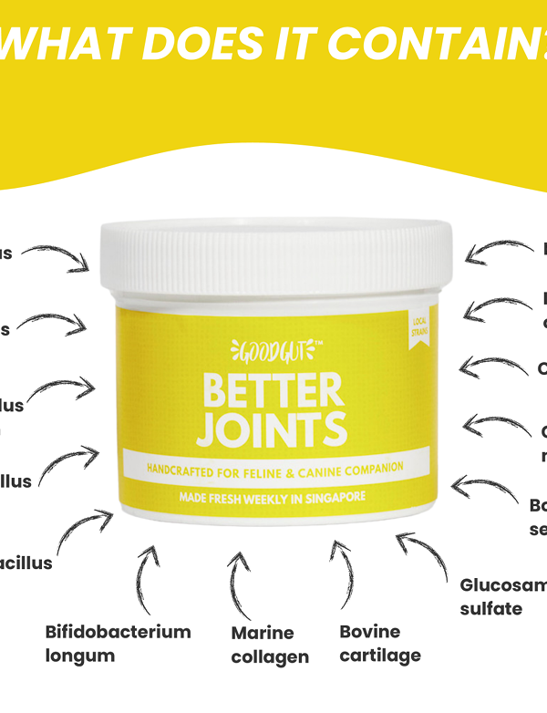 Better Joints