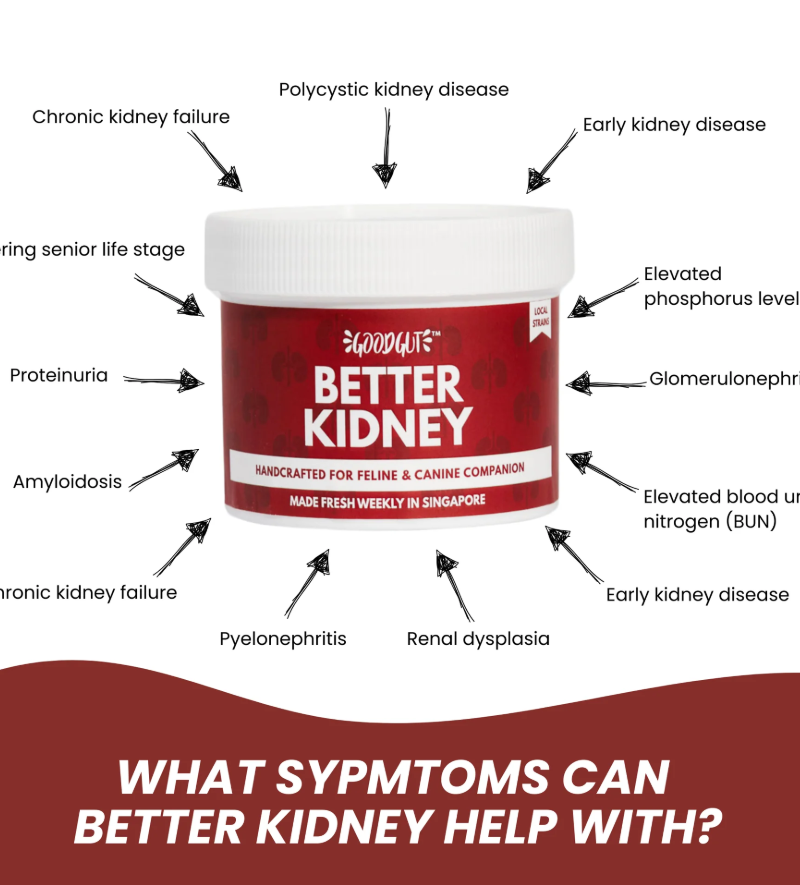 Better Kidney 150g