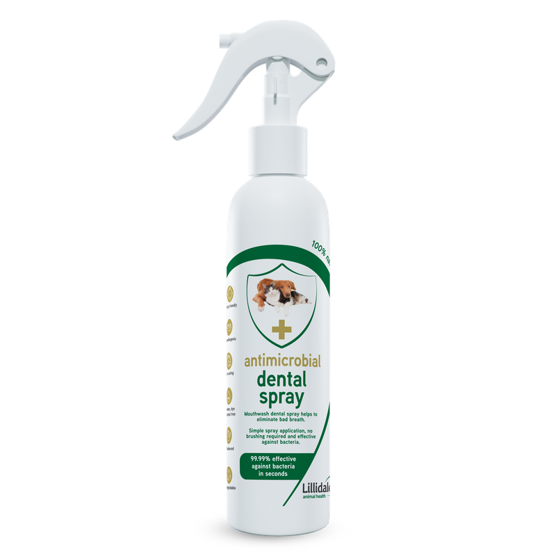 Lillidale Antimicrobial Dental Spray