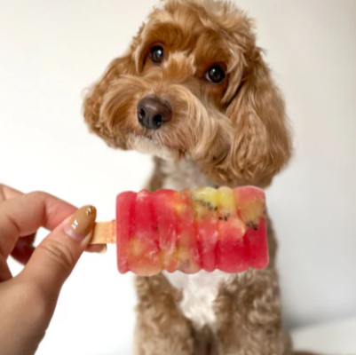 Watermelon Kiwi Slushy (Mini)