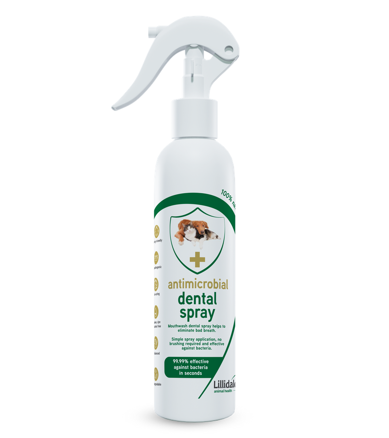Lillidale Antimicrobial Dental Spray