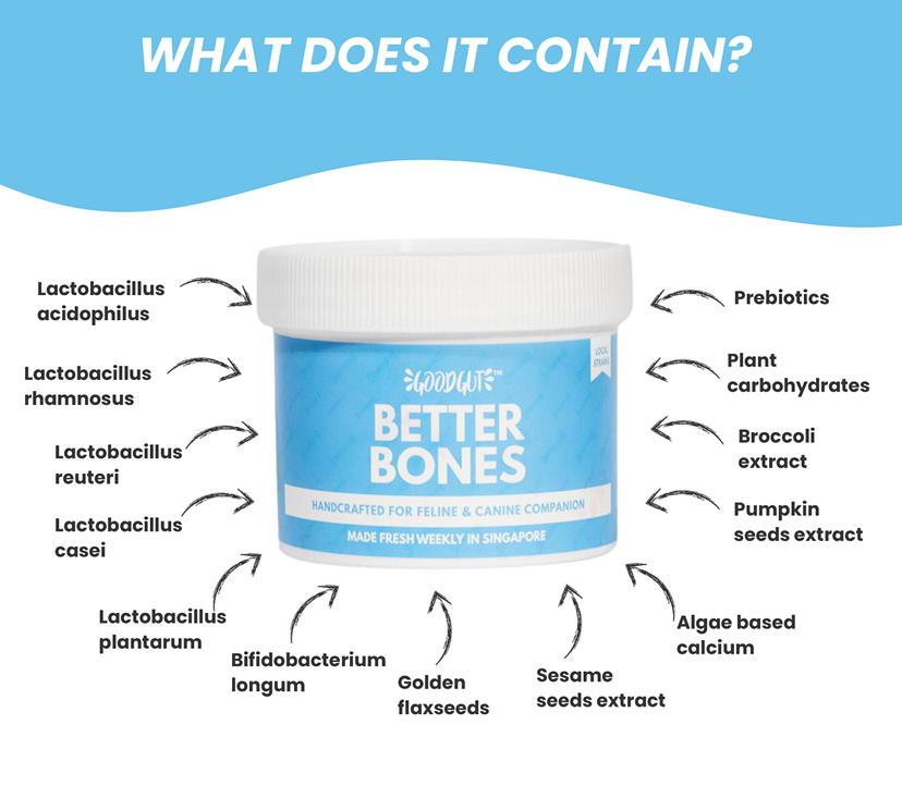 Better Bones