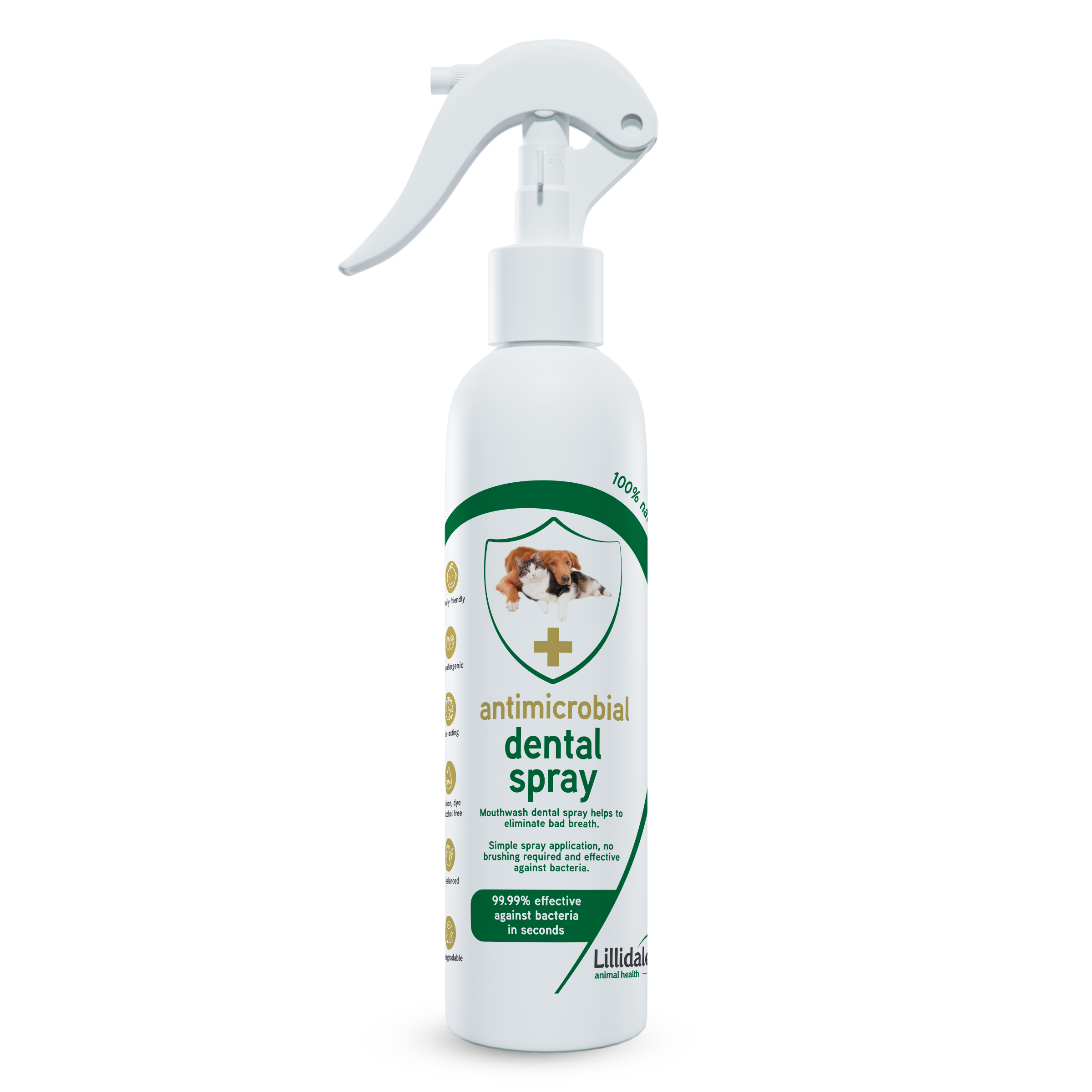 Lillidale Antimicrobial Dental Spray