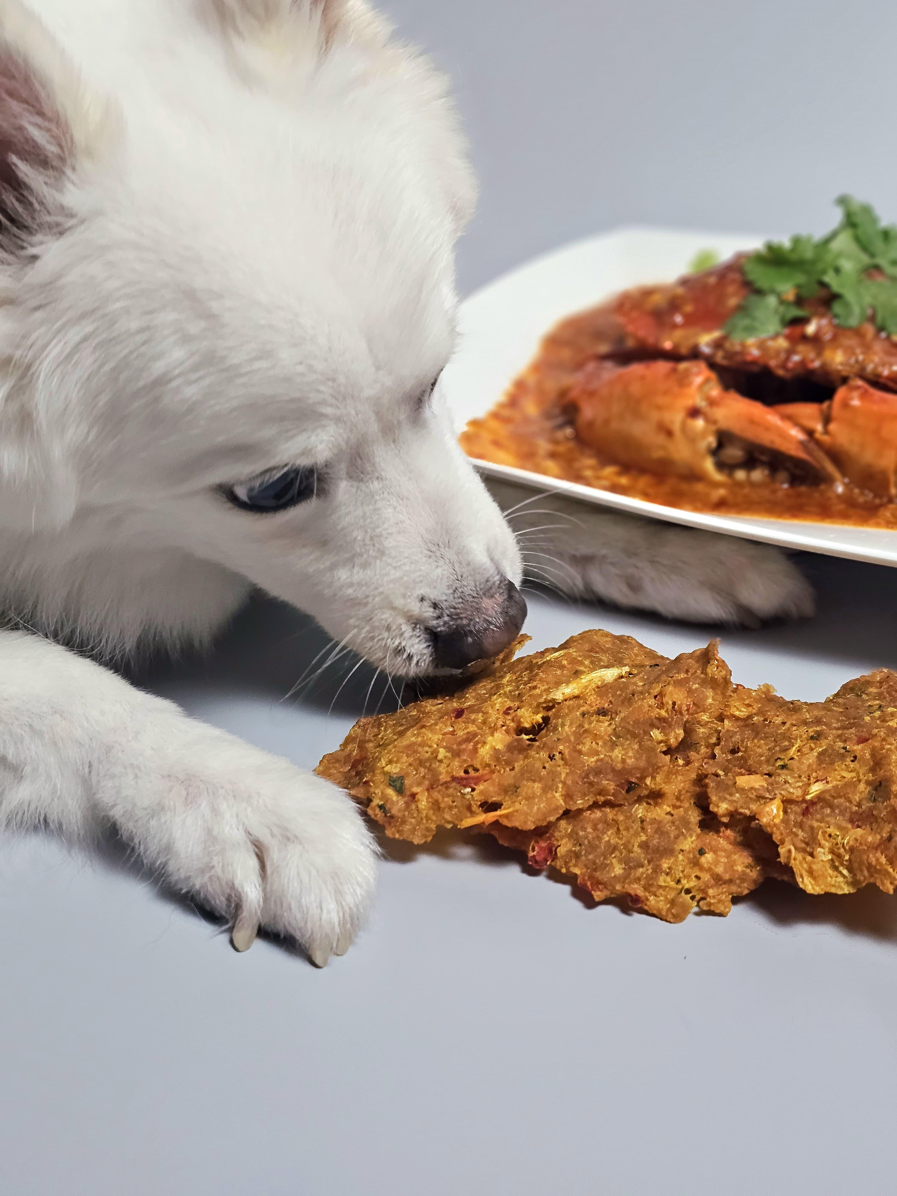🇸🇬 Chilli Crab (National Day Special)