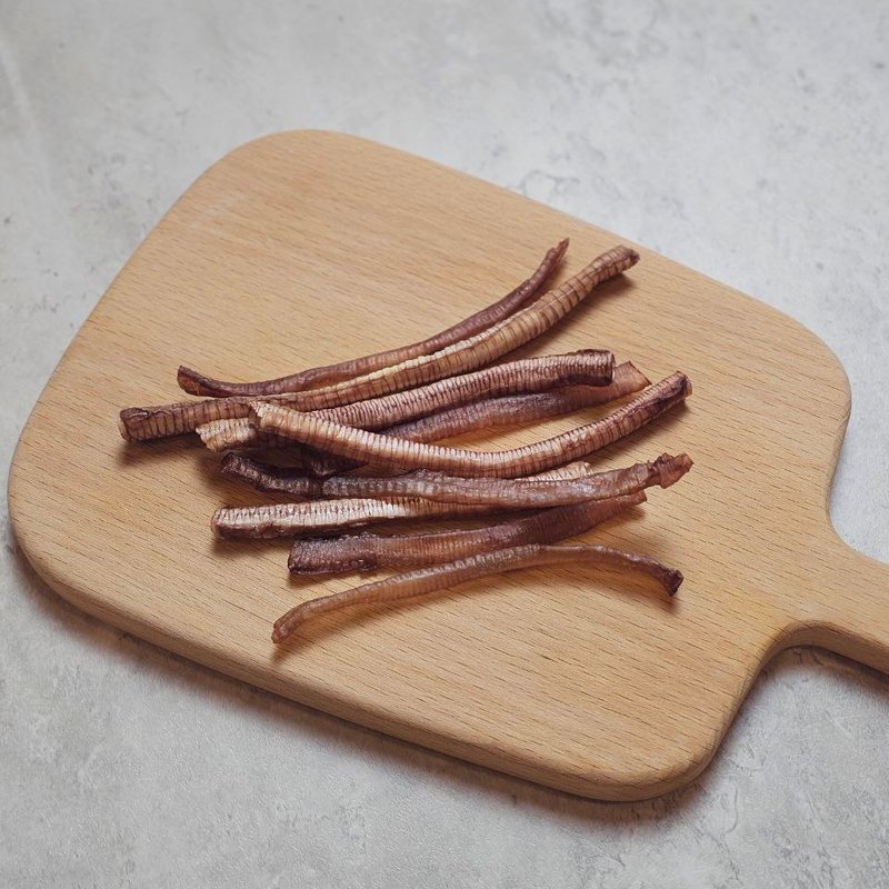 Duck Trachea