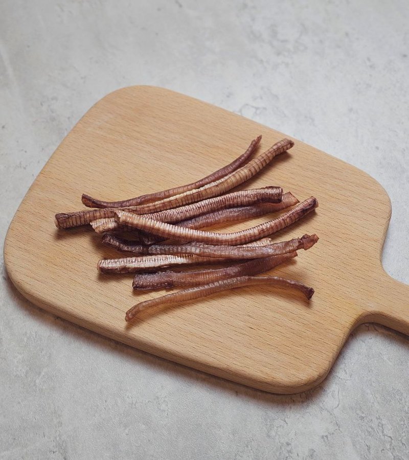 Duck Trachea