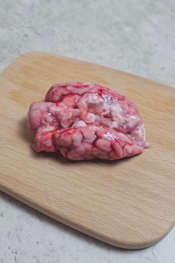 Pig Brain