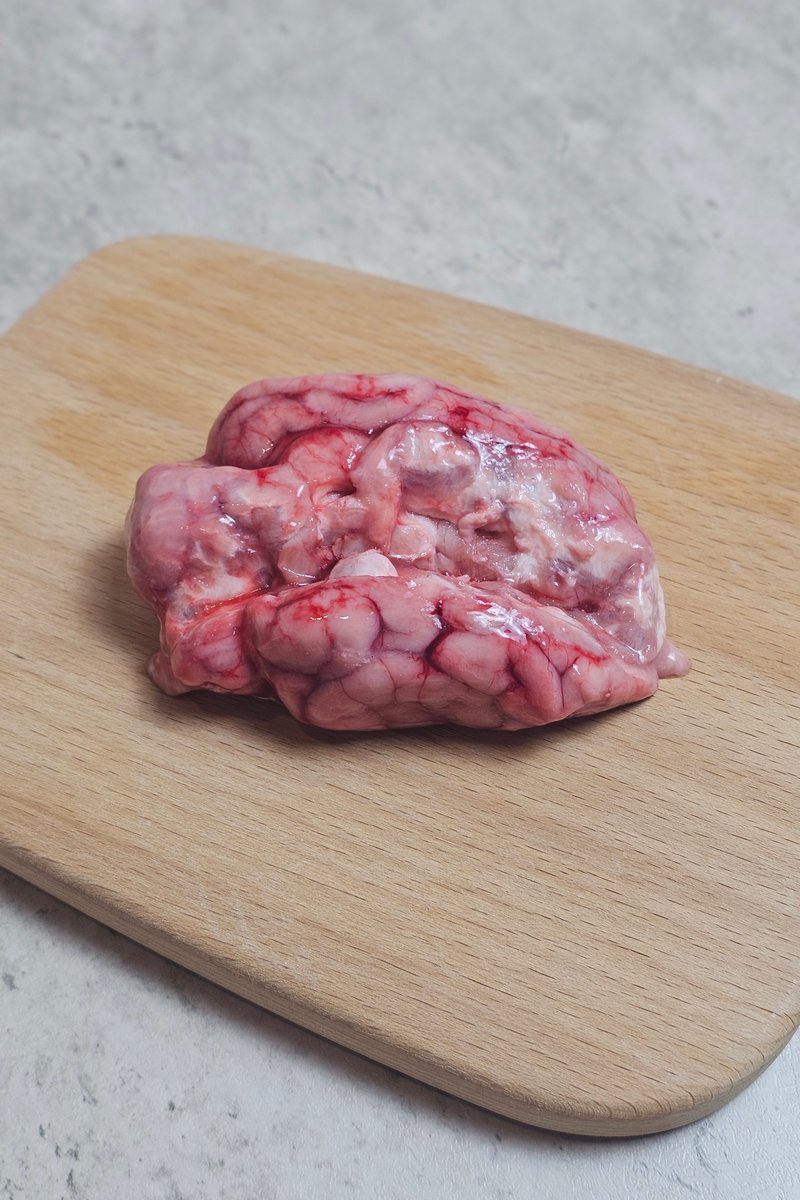 Pig Brain