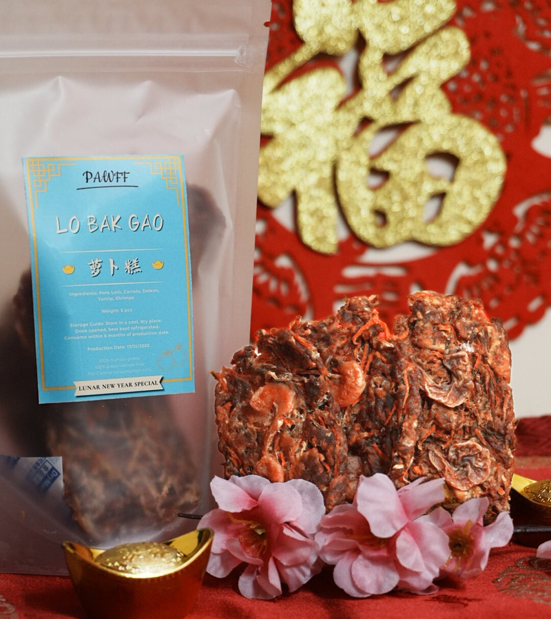 Lo Bak Gao 萝卜糕 [CNY 2026]