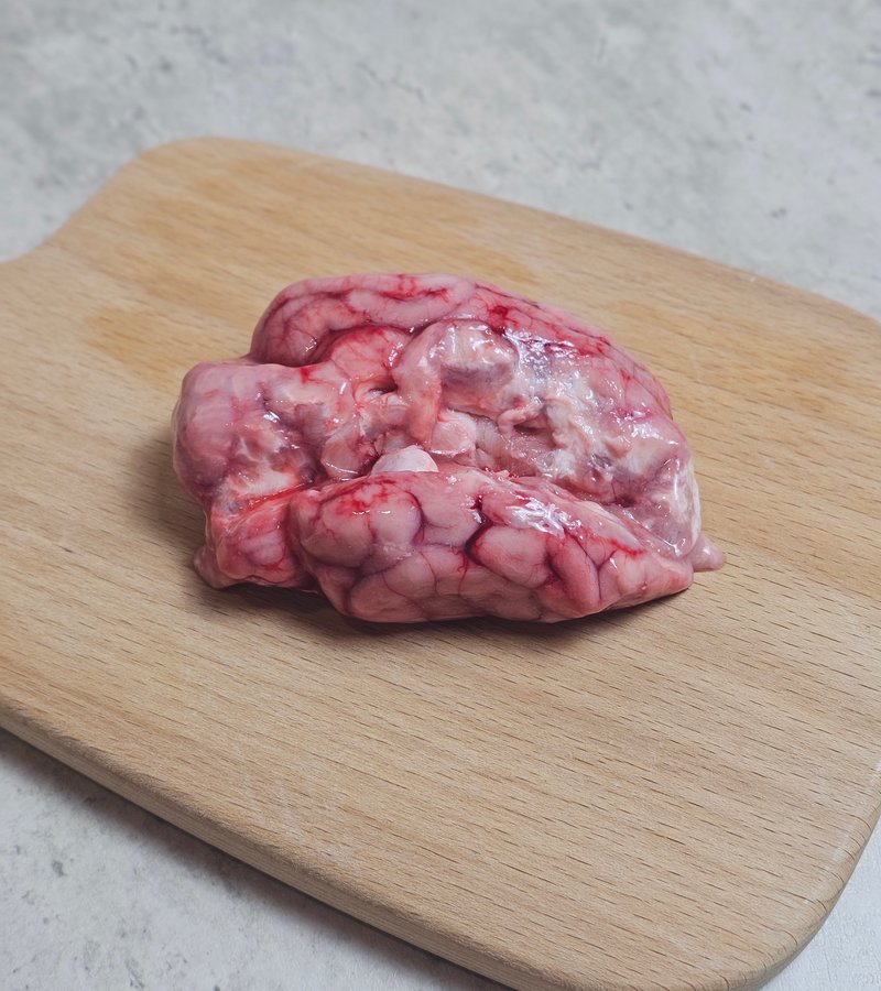 Pig Brain