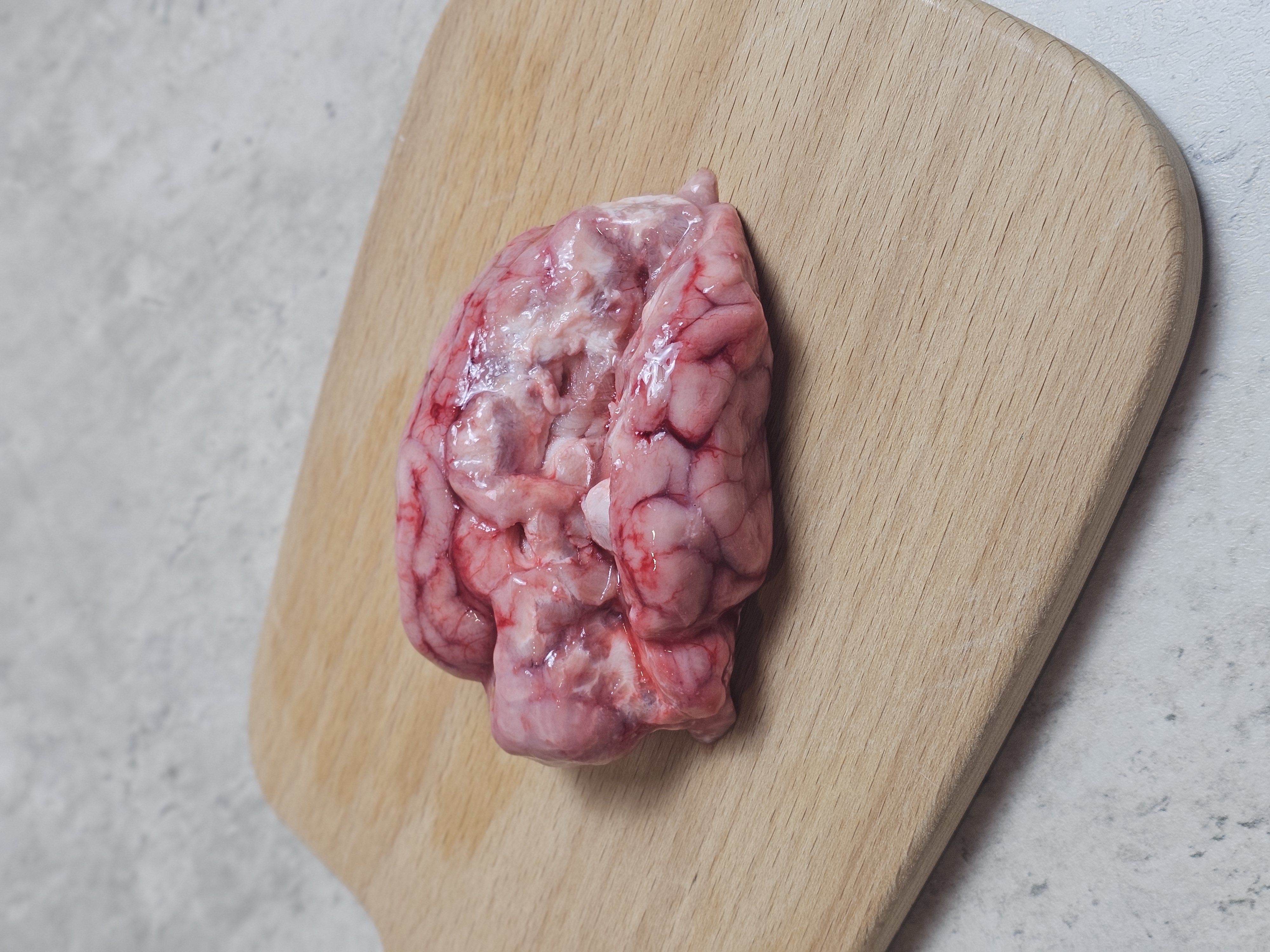 Pig Brain