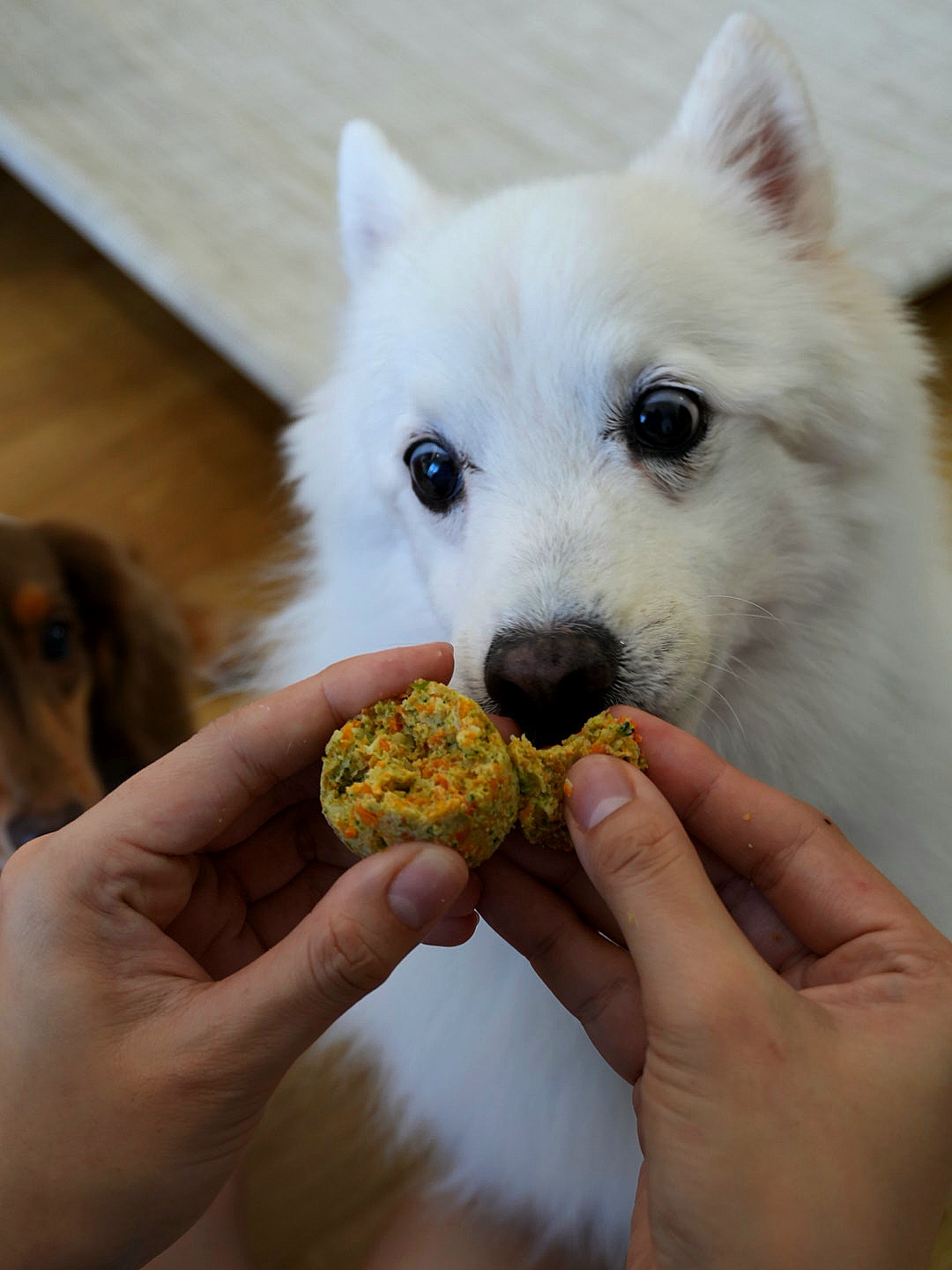 Veggie Ball (Kidney Friendly)