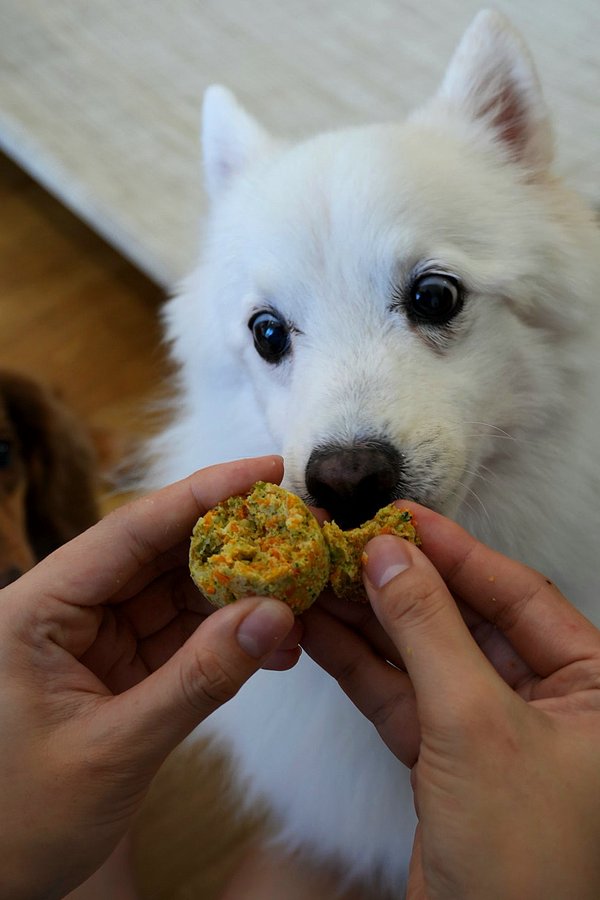 Veggie Ball (Kidney Friendly)
