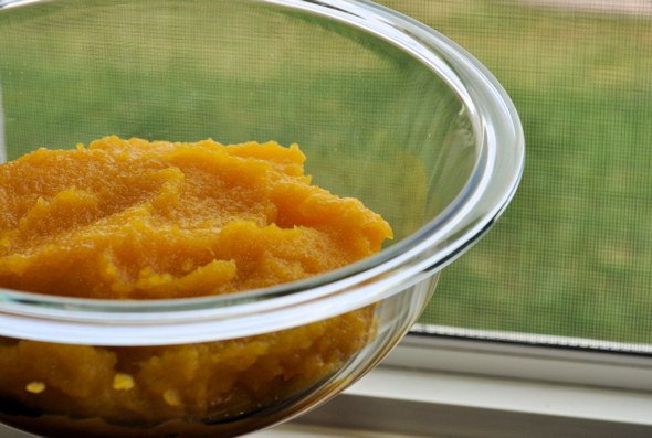 Pumpkin