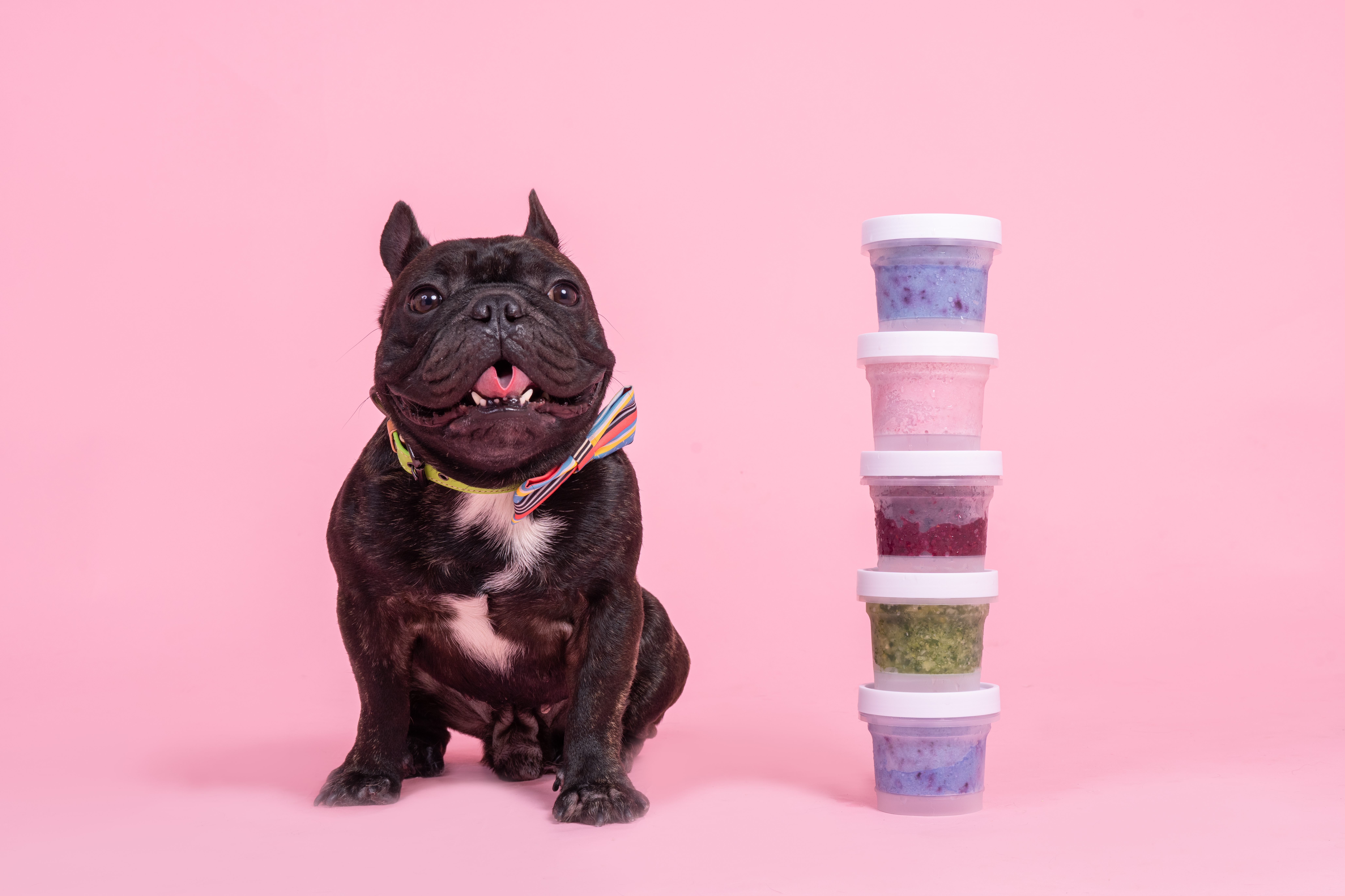 7 Signs Your Pet May Have Food Sensitivities (and How to Address Them)