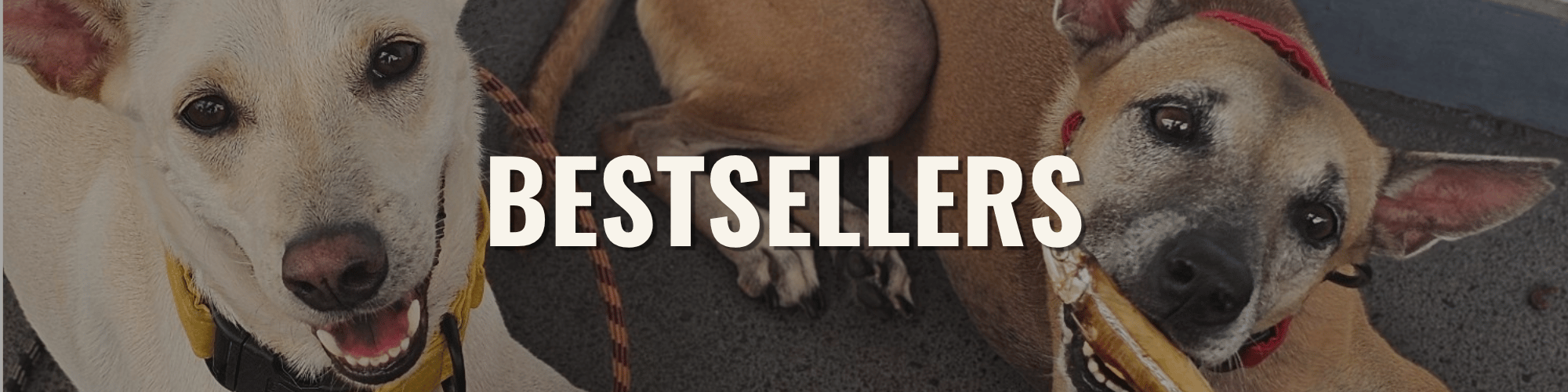 BESTSELLERS