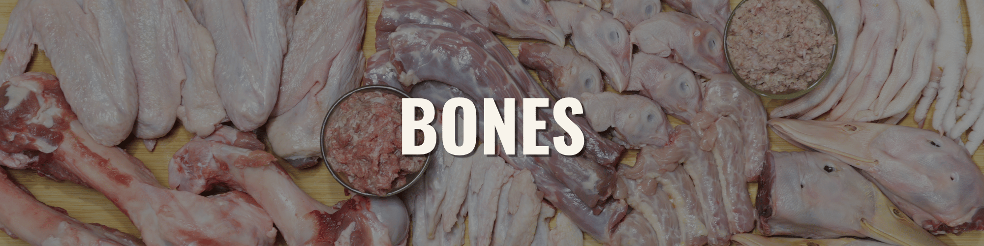 BONES
