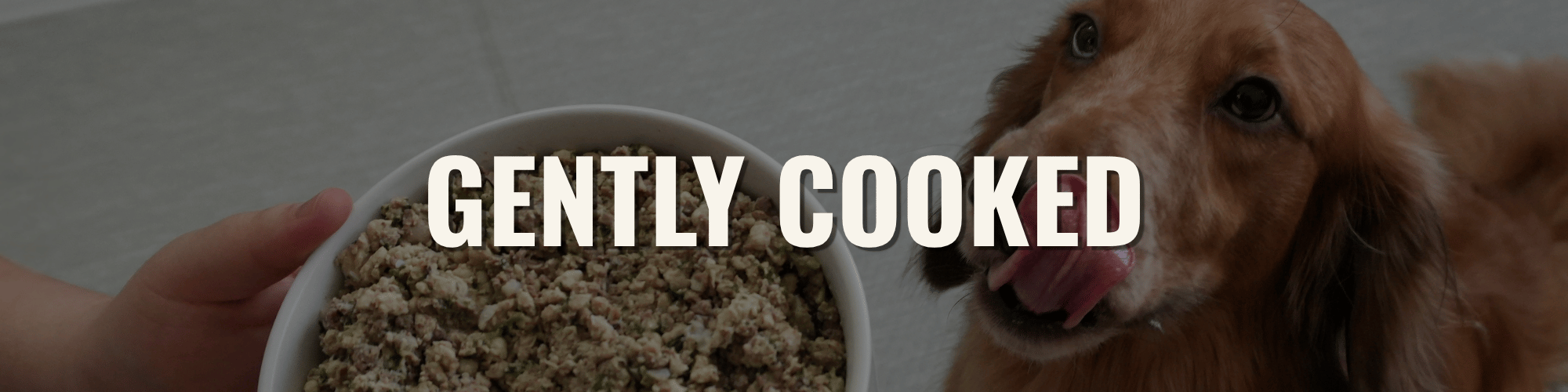 CANINE GENTLY COOKED