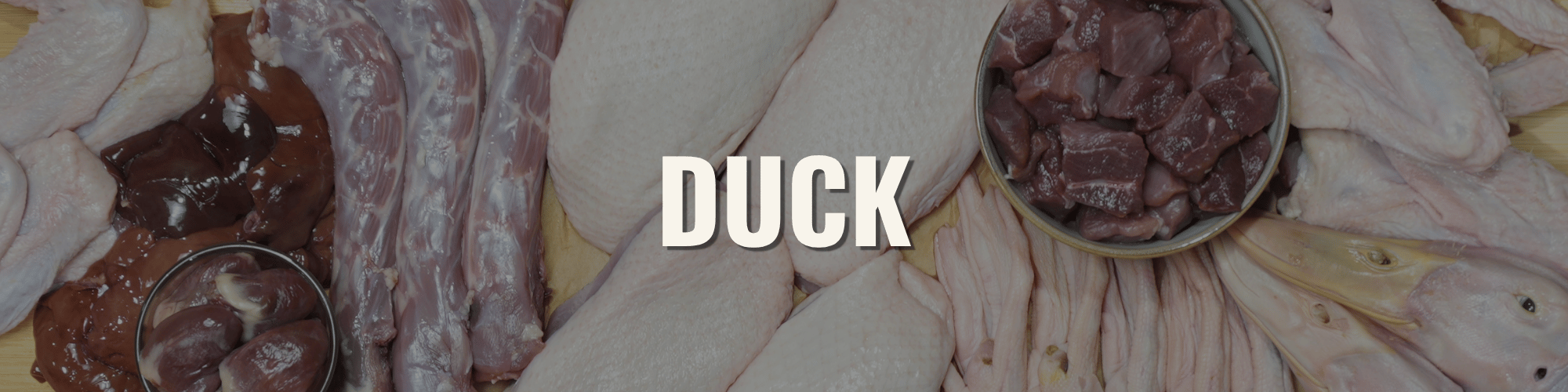 DUCK