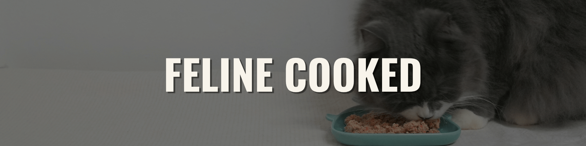 FELINE GENTLY COOKED