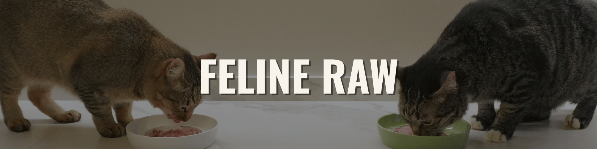 FELINE RAW