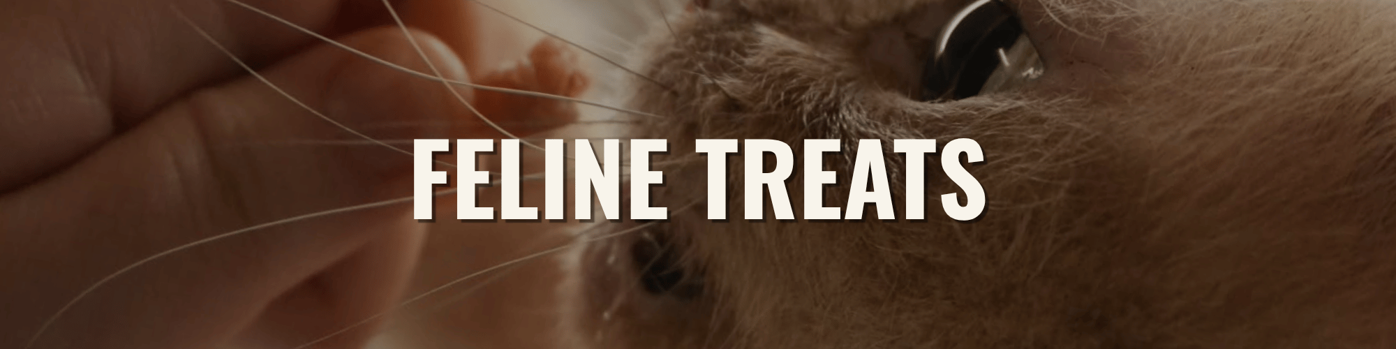 FELINE TREATS