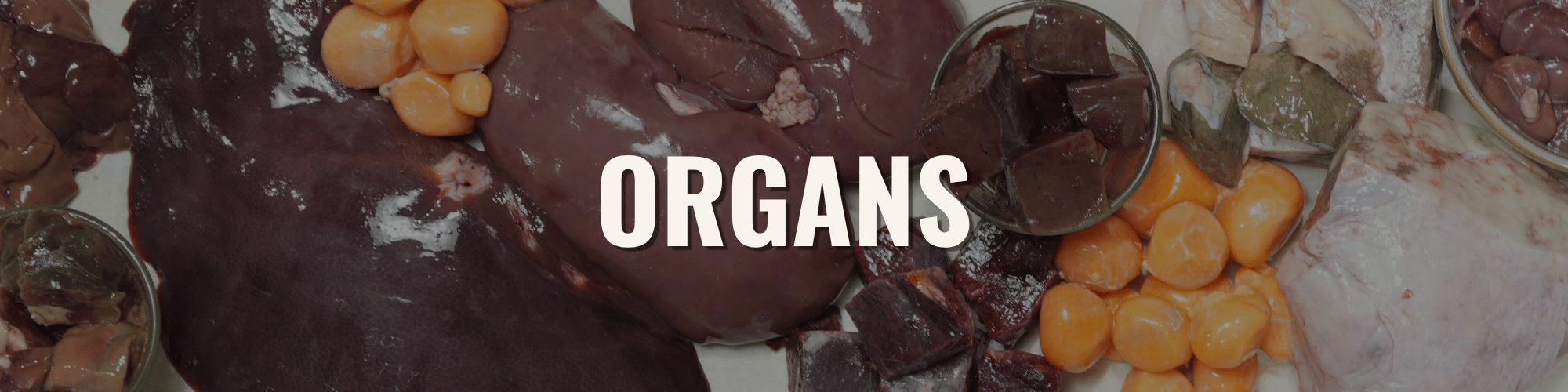 ORGANS