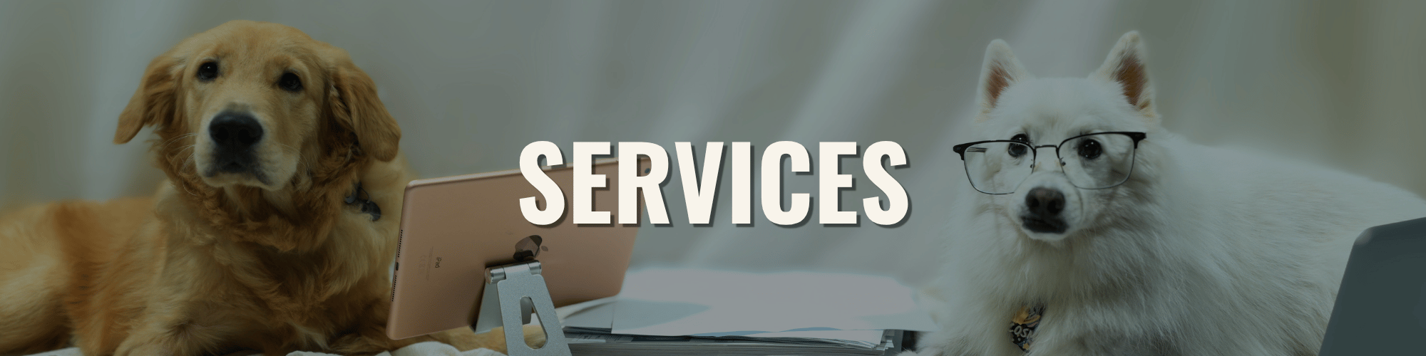 SERVICES