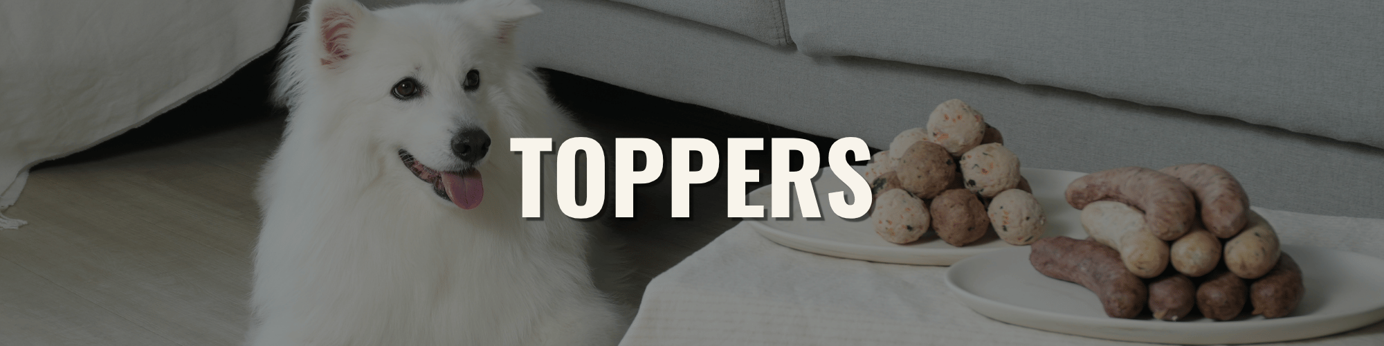 TOPPERS