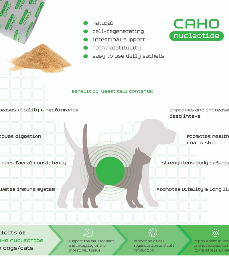 CAHO Nucleotide (Canine/Feline)