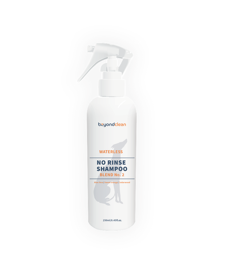Beyond Clean Waterless No Rinse Shampoo (Spray / Foam)
