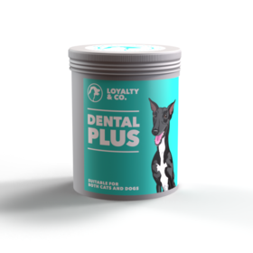 Loyalty & Co Dental Plus 