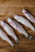 Anchovies